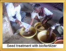 seed_ treatment